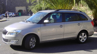 Tropical Car